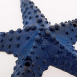 Starfish Metal Coat Hook (Blue)