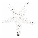 Starfish Metal Coat Hook (White)