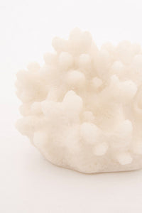 Coral shaped light (Battery powered) Display Lamp Table Lamps Batela Giftware