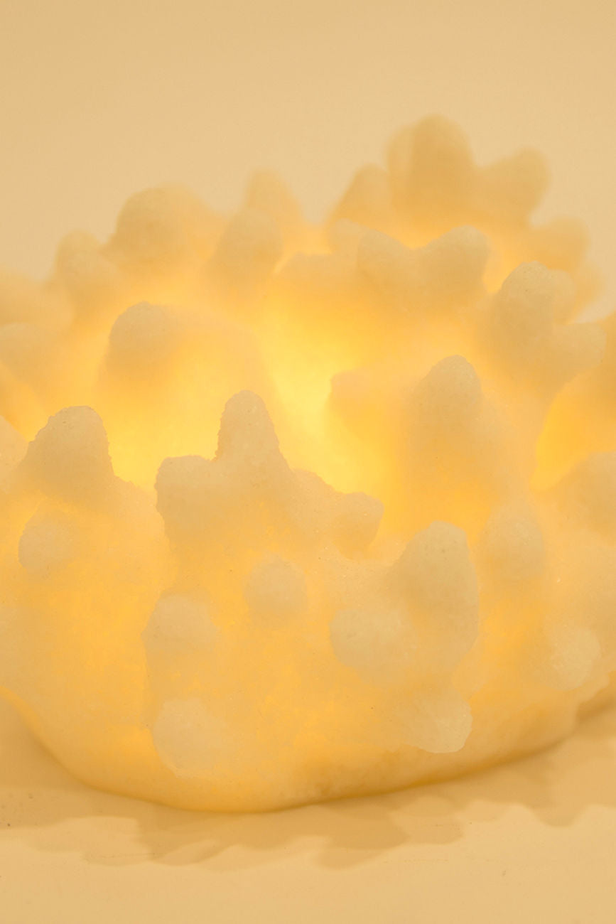 Coral shaped light (Battery powered) Display Lamp Table Lamps Batela Giftware