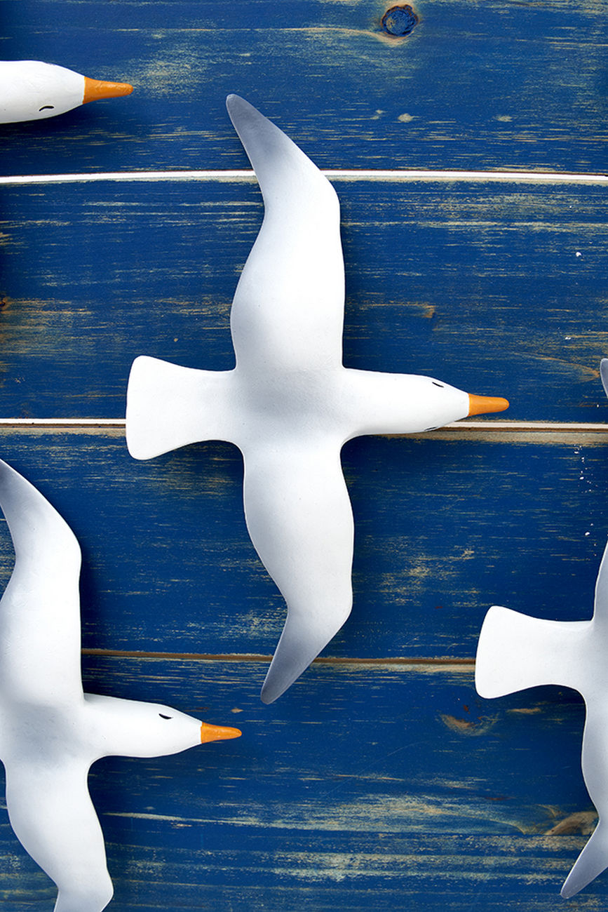 Wooden Wall Art with a Flock of Seagulls Marine Mammals Pictures Batela Giftware