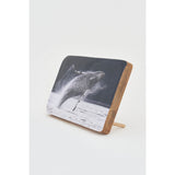 Whale Photo on Wooden Block