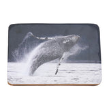 Whale Photo on Wooden Block