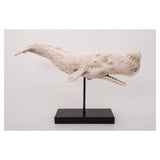 Sperm Whale With Base Ornament in White by Batela