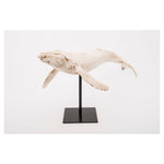 Humpback Whale on a Stand Ornament by Batela