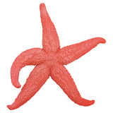 Giant Starfish by Batela