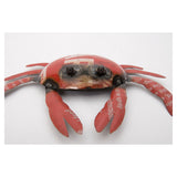 Metal Crab Ornament by Batela