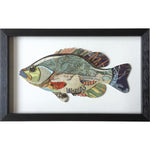 Framed Collage Picture of a Fish by Batela