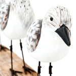 Three Sea Birds Ornament on a Driftwood Base by Batela