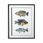 Framed Collage Picture of Three Fish by Batela