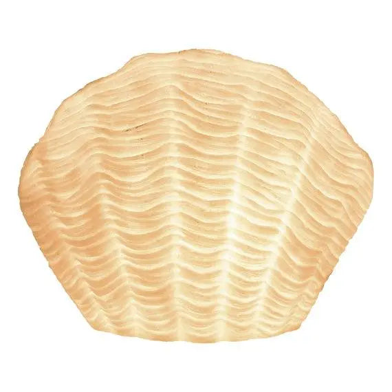 Shell shaped Lamp electric by Batela
